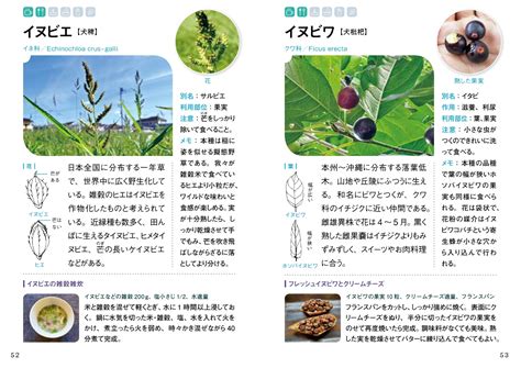 山下智道 wiki|山下智道のなんでも植物学